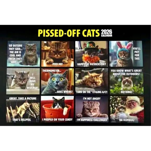 2026 Pissed Off Cats Calendar Funny - Picture 7 of 8